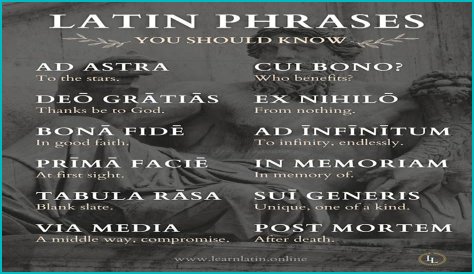 A Profile Of A Latin Beauty