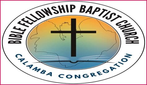 What appointed body did pccs replace?